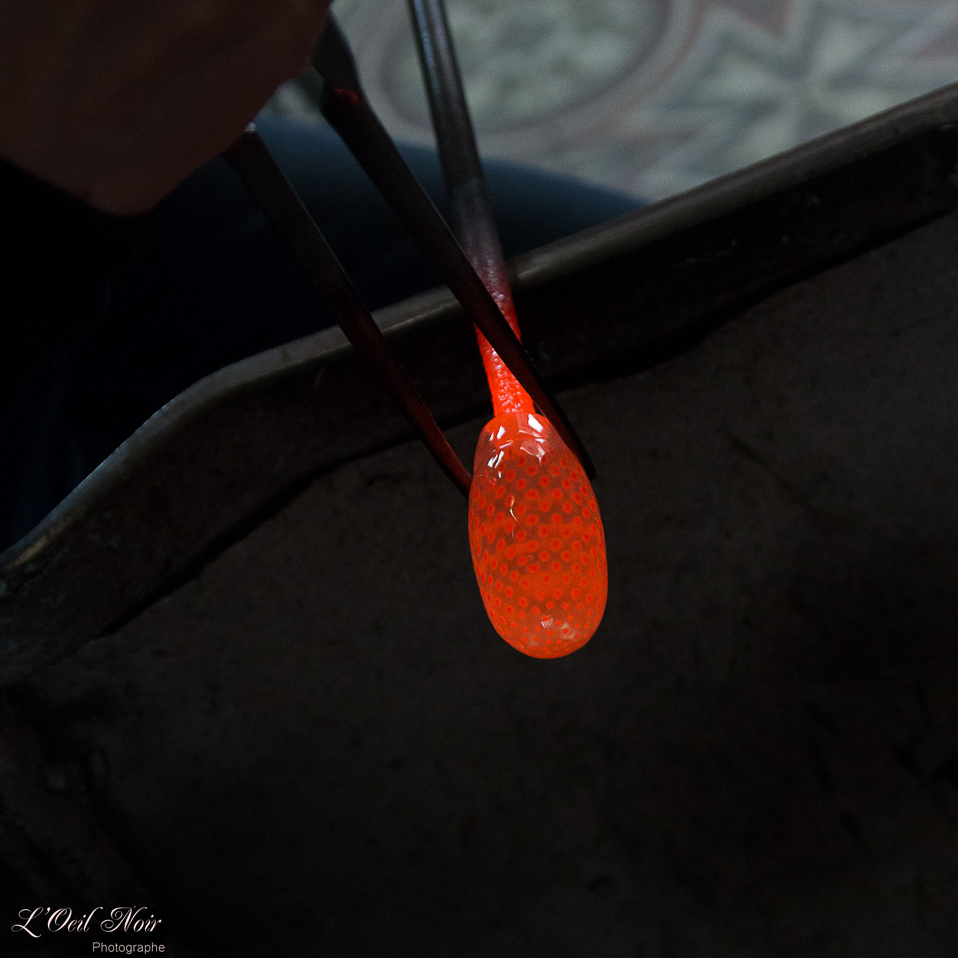 L' Oeil Noir Photographe